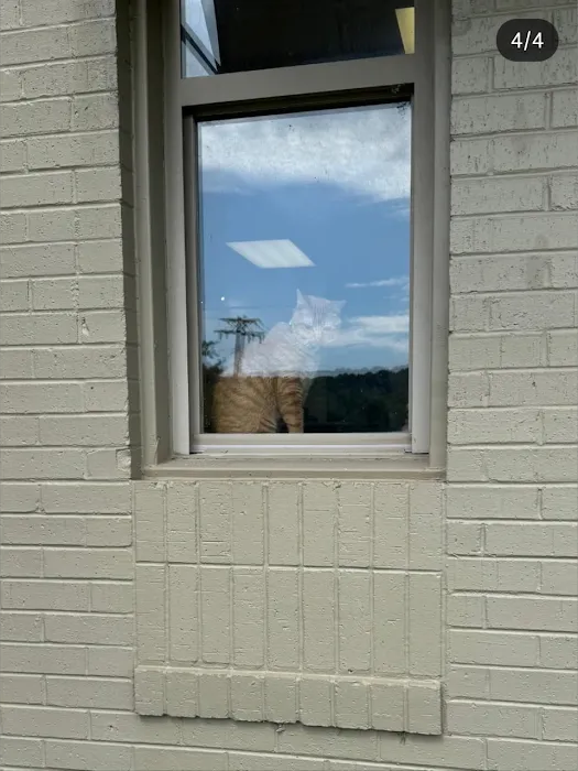 Fayetteville Veterinary Medical Center Picture 10