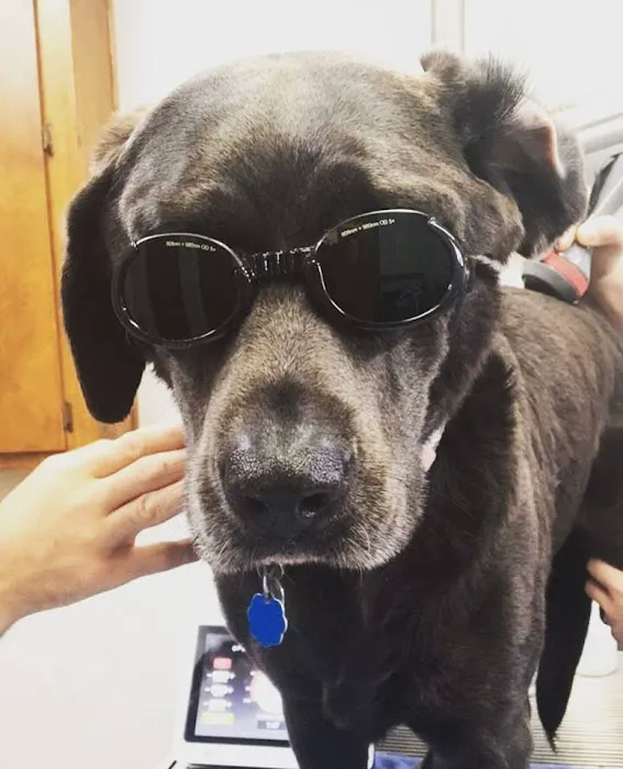 Stanton Animal Hospital Picture 2