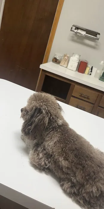 Stanton Animal Hospital Picture 5