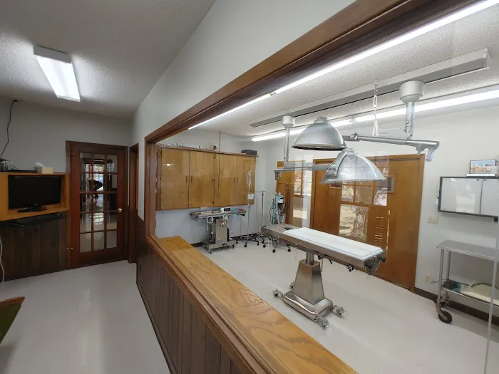 Stanton Animal Hospital Picture 7