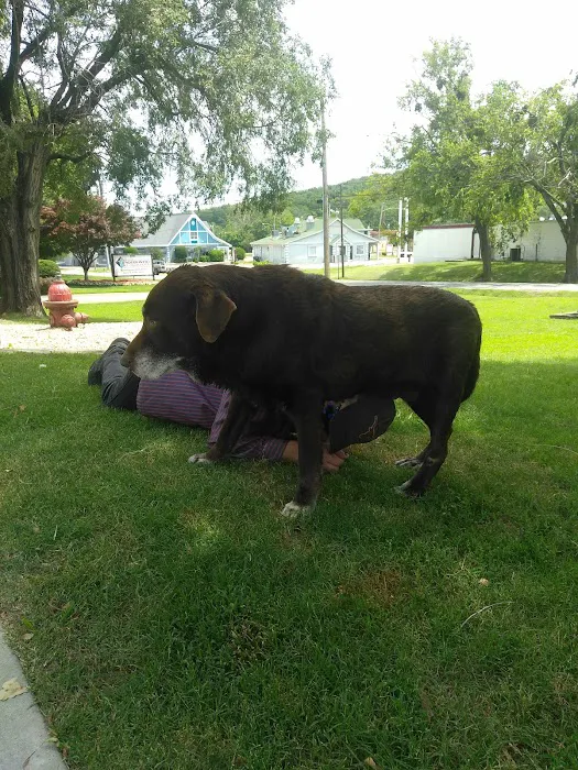 Stanton Animal Hospital Picture 4