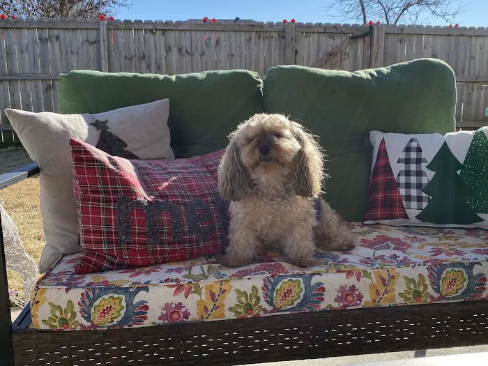 Stanton Animal Hospital Picture 10