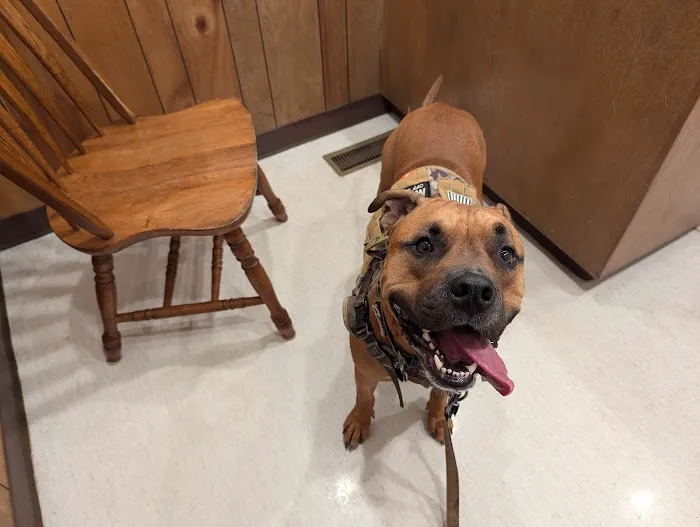 Stanton Animal Hospital: Butler Metta DVM Picture 5