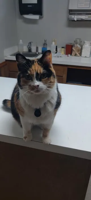 Stanton Animal Hospital: Butler Metta DVM Picture 1