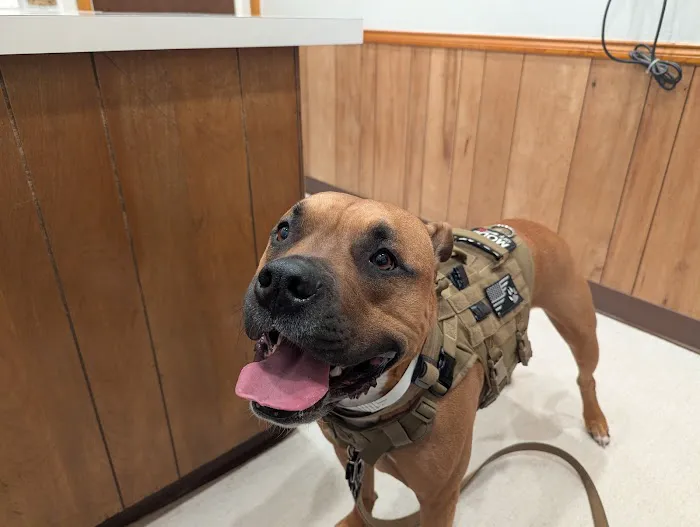 Stanton Animal Hospital: Butler Metta DVM Picture 2