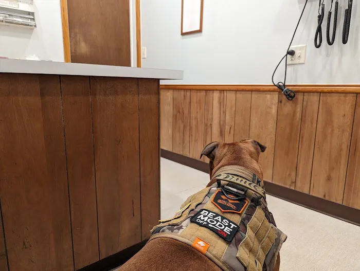 Stanton Animal Hospital: Butler Metta DVM Picture 3