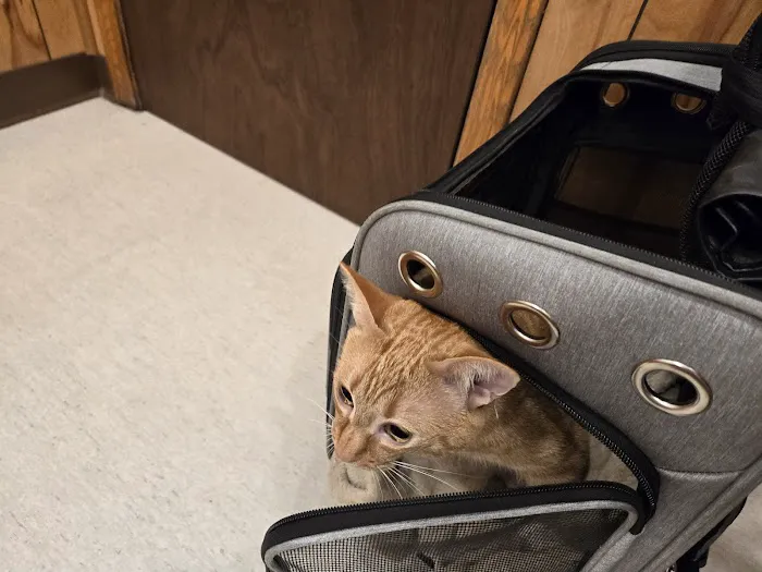 Stanton Animal Hospital: Butler Metta DVM Picture 4