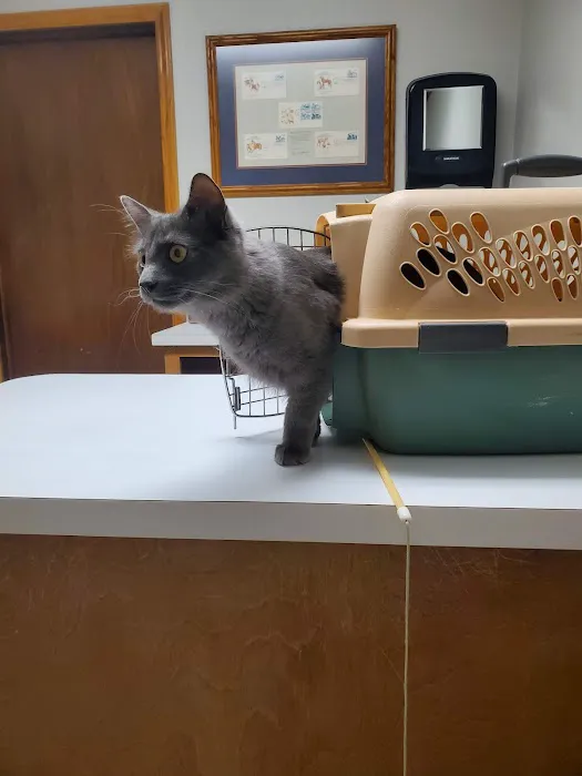 Stanton Animal Hospital: Butler Metta DVM Picture 7