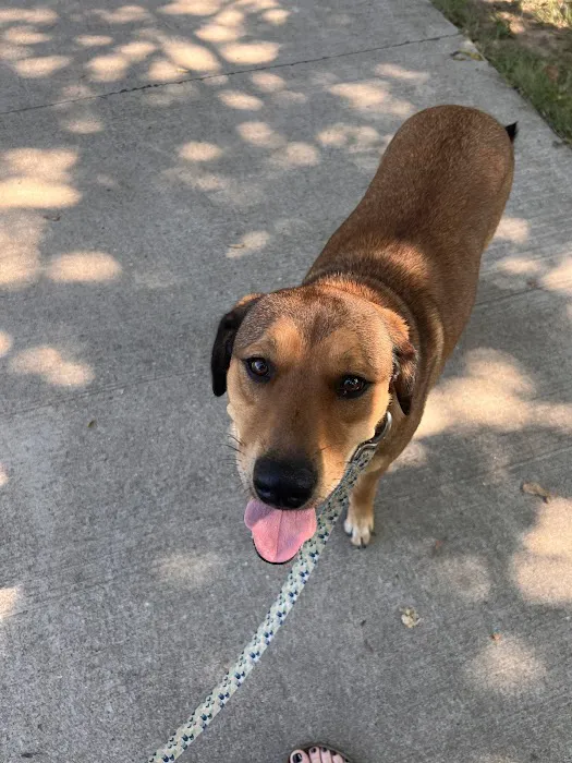 Family Pets Veterinary Care and Acupuncture Picture 1