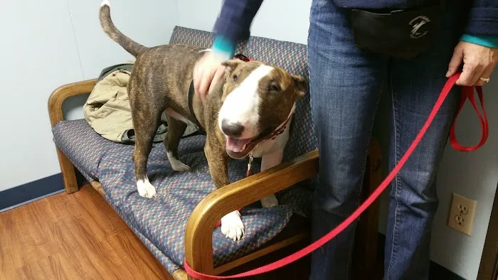 Family Pets Veterinary Care and Acupuncture Picture 8