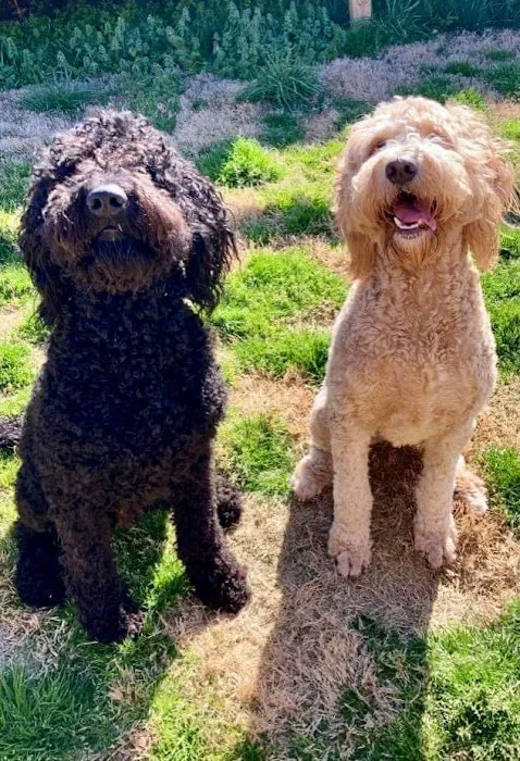 Smithers Animal Hospital Picture 3