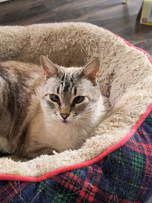 Smithers Animal Hospital Picture 2