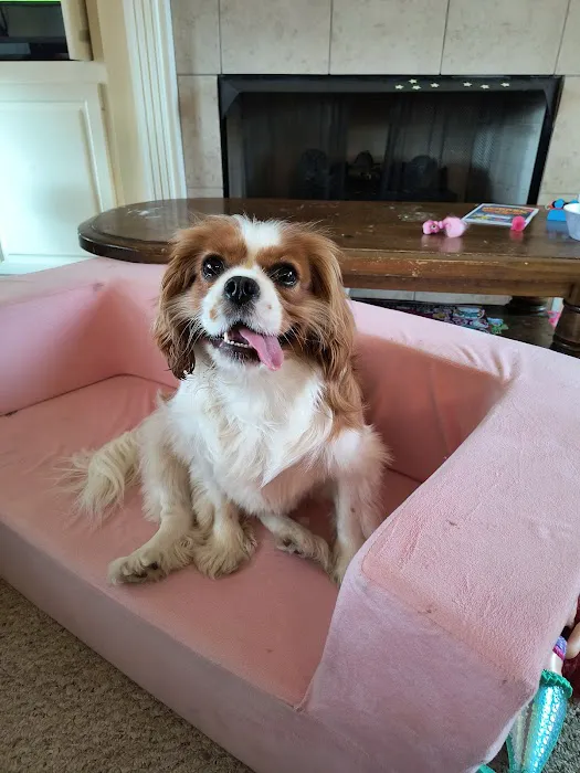 Smithers Animal Hospital Picture 1