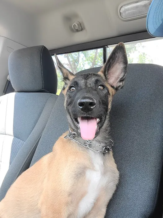 Smithers Animal Hospital Picture 7