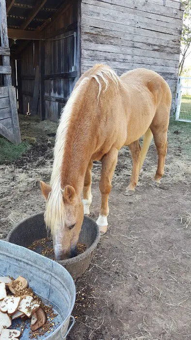 Smithers Animal Hospital Picture 6