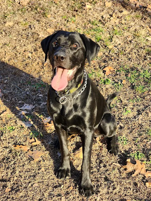 Smithers Animal Hospital Picture 9