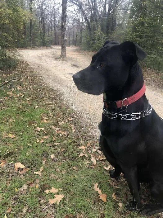 Patterson Animal Hospital Picture 5