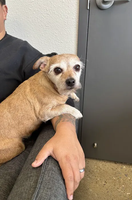 LocalVet Urgent Care Picture 2