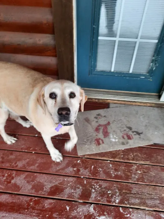 LocalVet Urgent Care Picture 1