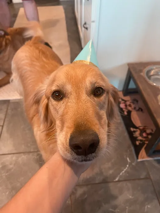 LocalVet Urgent Care Picture 4