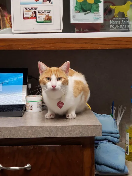 Animal Medical Clinic Picture 1