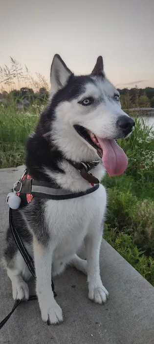 Animal Medical Clinic Picture 2