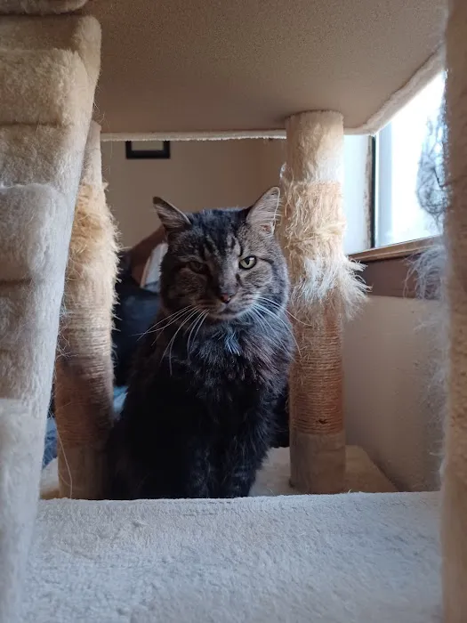 Animal Medical Clinic Picture 7