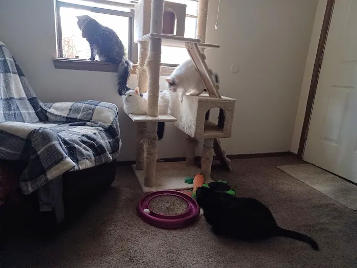 Animal Medical Clinic Picture 5