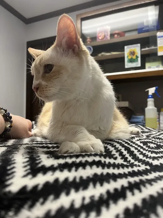 Animal Medical Clinic Picture 3