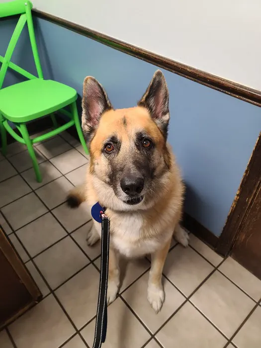 Animal Medical Clinic Picture 6