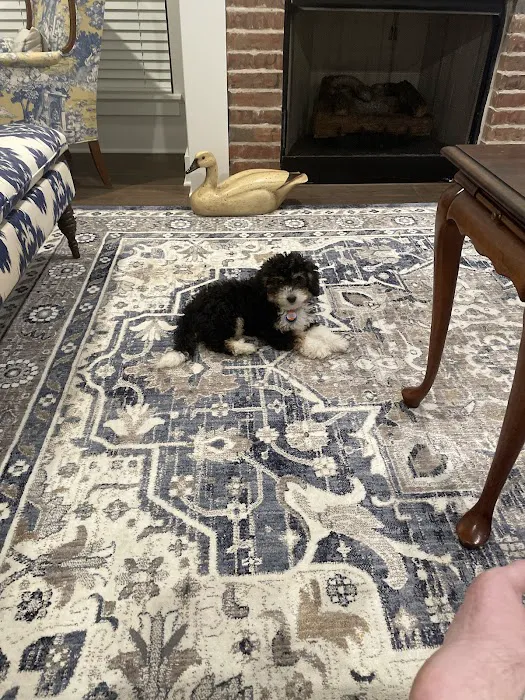 Animal Medical Clinic Picture 8