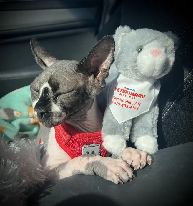 PetSmart Veterinary Services - Fayetteville Picture 1