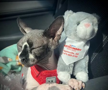 PetSmart Veterinary Services - Fayetteville