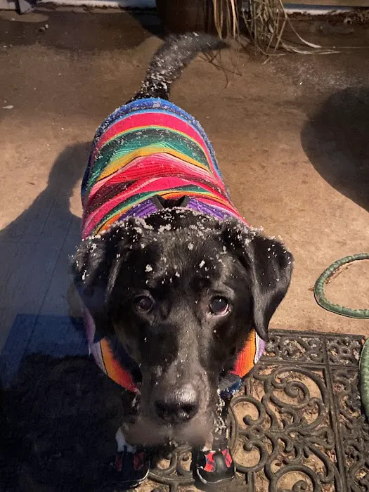 PetSmart Veterinary Services - Fayetteville Picture 3