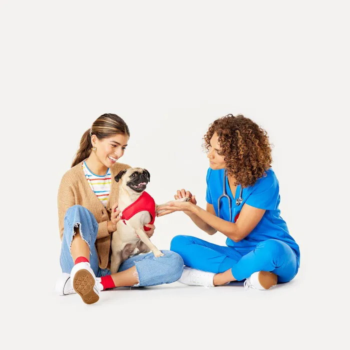 PetSmart Veterinary Services - Fayetteville Picture 7