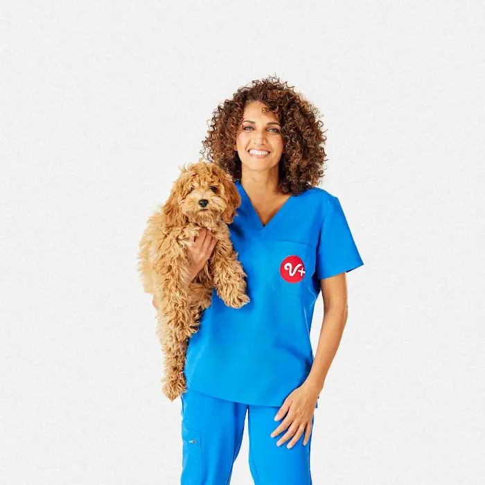 PetSmart Veterinary Services - Fayetteville Picture 6