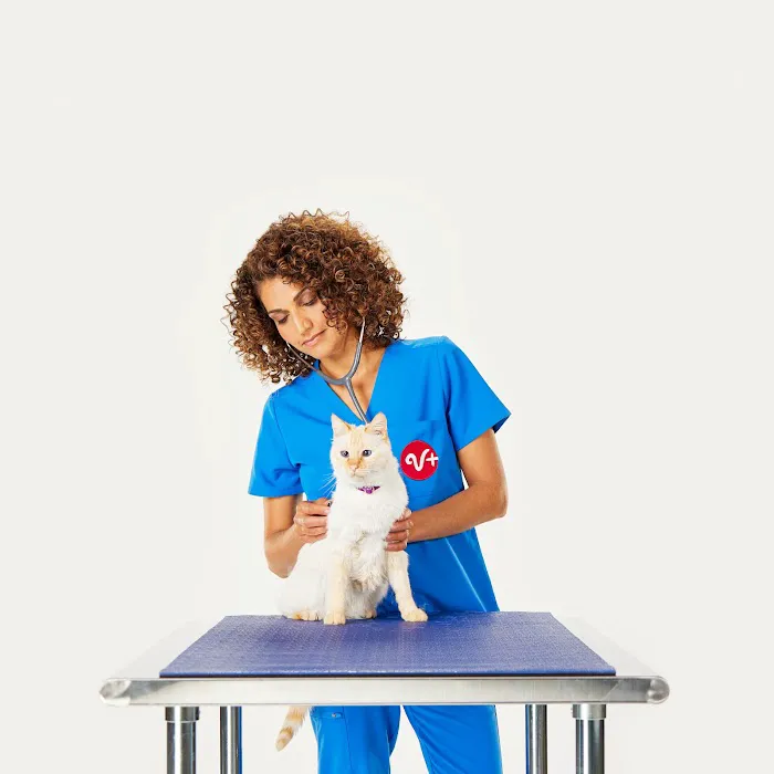 PetSmart Veterinary Services - Fayetteville Picture 10