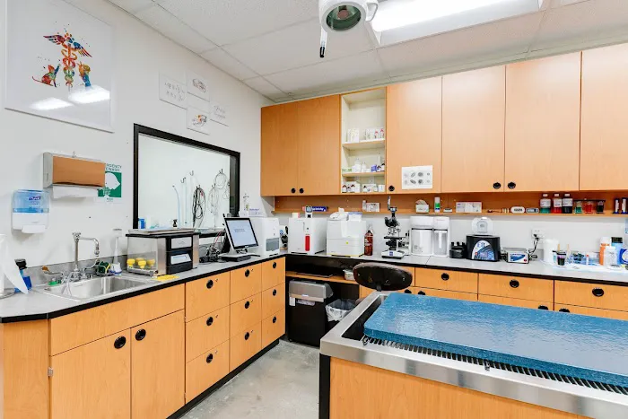 PetSmart Veterinary Services - Fayetteville Picture 9