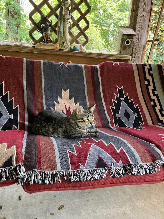 All Cats Clinic Picture 2