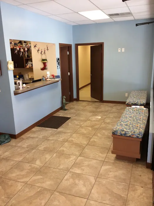 All Cats Clinic Picture 7