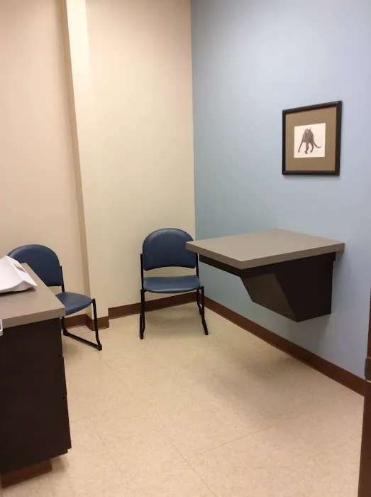 All Cats Clinic Picture 9