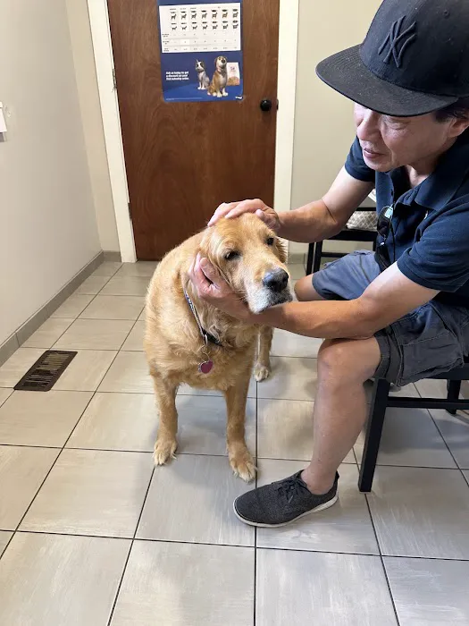 Cornerstone Animal Hospital Picture 5