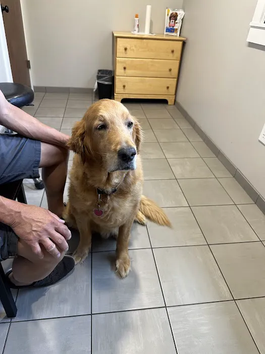 Cornerstone Animal Hospital Picture 6