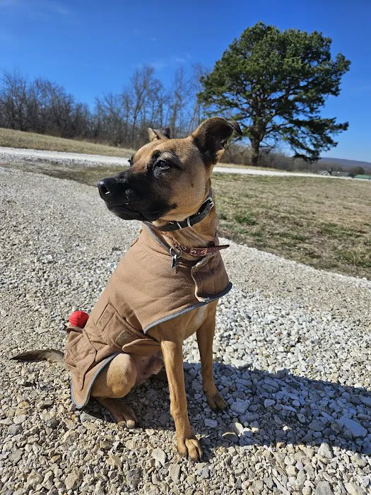 Cornerstone Animal Hospital Picture 7