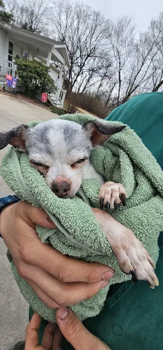 Cornerstone Animal Hospital Picture 9