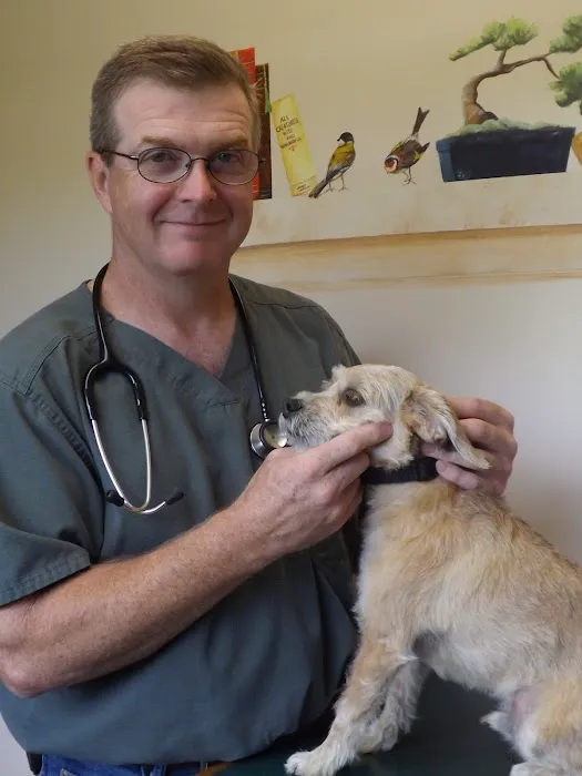 Cornerstone Animal Hospital Picture 10