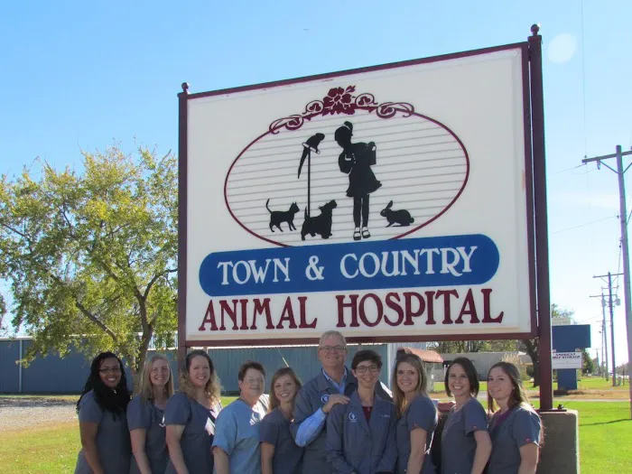 Town & Country Animal Hospital Picture 5