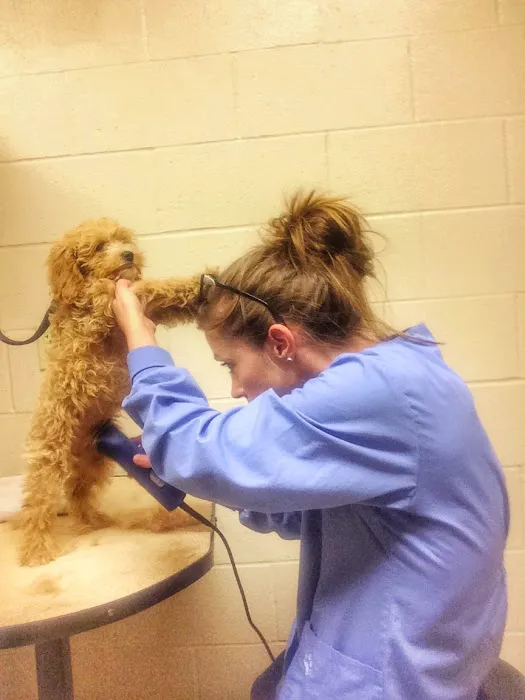 Town & Country Animal Hospital Picture 4