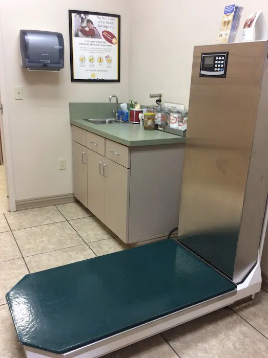 Town & Country Animal Hospital Picture 6