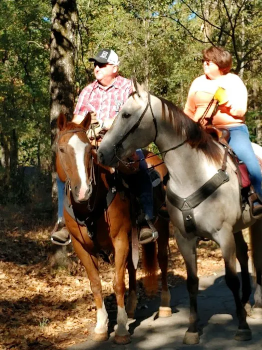 Mesa Animal Clinic Picture 4